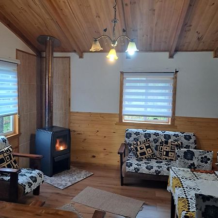 Cabanas Robinson Puerto Puyuguapi Ngoại thất bức ảnh